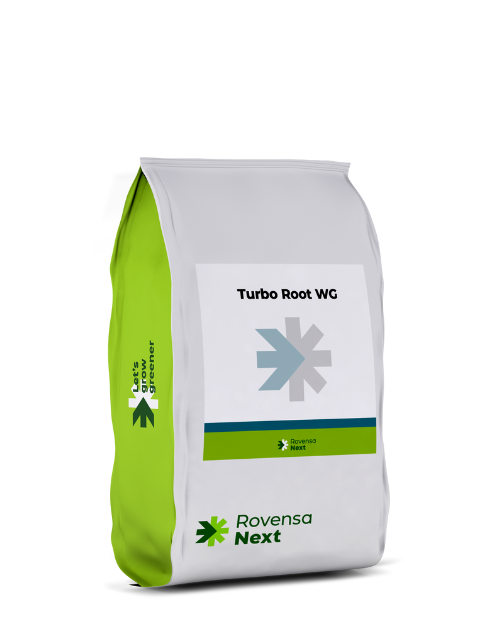 Turbo Root WG