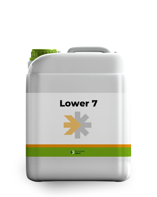Lower 7 5 L