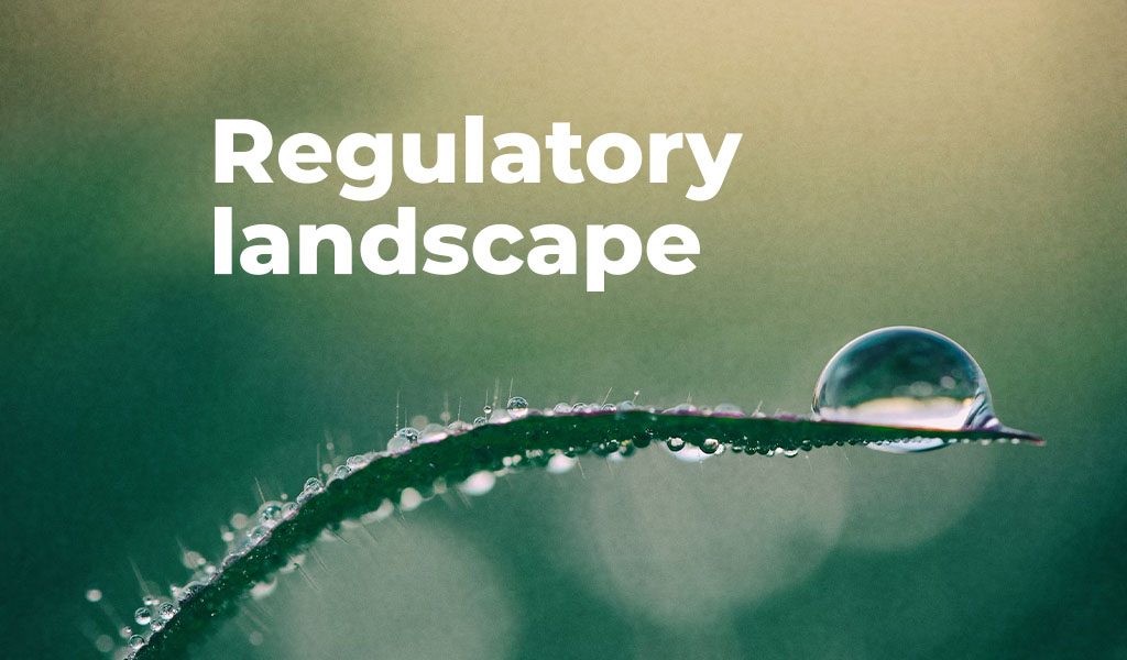 Navigating the Regulatory Terrain: The Impact on Agriculture